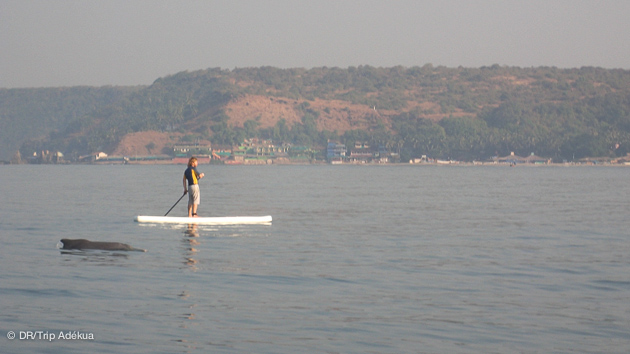 Vous alternez les cours de SUP et de yoga, le tout dans un environnement paradisiaque à Goa