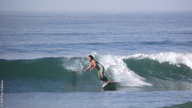 Des vagues parfaites pour le SUP surf
