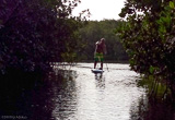 Votre stage de paddle à la Somone - voyages adékua