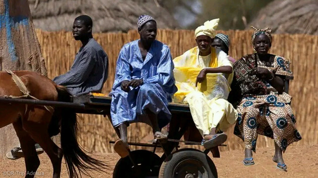 Partez à la rencontre des habitants du Sénégal pendant votre séjour SUP